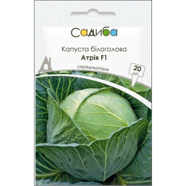 Насіння капусти білоголової Атрія F1 /20 насінин/ *Садиба*