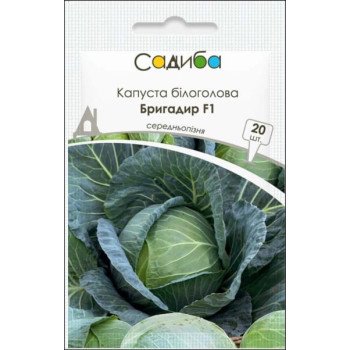 Капуста білоголова Бригадир F1 /20 насінин/ *Садиба*