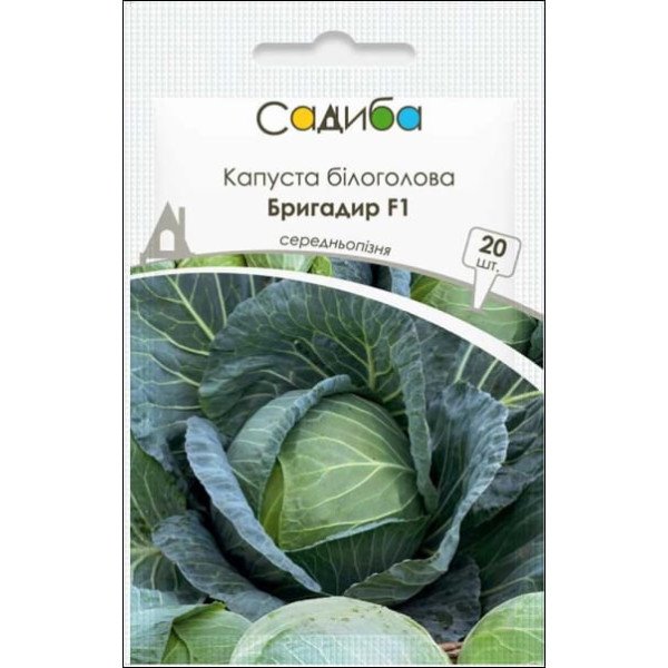 Насіння капусти білоголової Бригадир F1 /20 насінин/ *Садиба*
