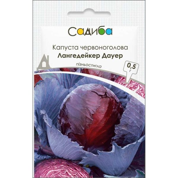 Насіння капусти червоноголової Лангедейкер Дауер /0,5 г/ *Садиба*