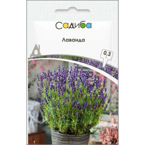 Насіння лаванди /0,3 г/ *Садиба*