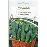 Огурец Директор F1 /10 семян/ *Садыба*