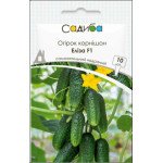 Огірок Еліза F1 /10 насінин/ *Садиба*