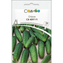 Огурец СВ 4097 ЦВ F1 /10 семян/ *Садыба*