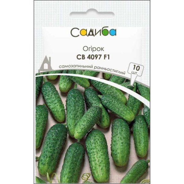 Насіння огірка СВ 4097 ЦВ F1 /10 насінин/ *Садиба*