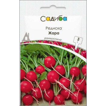 Редис Жара /3 г/ *Садыба*