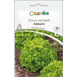 Салат Афицион /30 семян/ *Садыба*