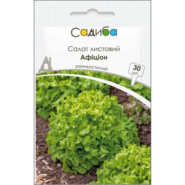 Семена салата Афицион /30 семян/ *Садыба*