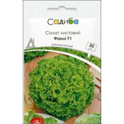 Салат Фанли /30 семян/ *Садыба*