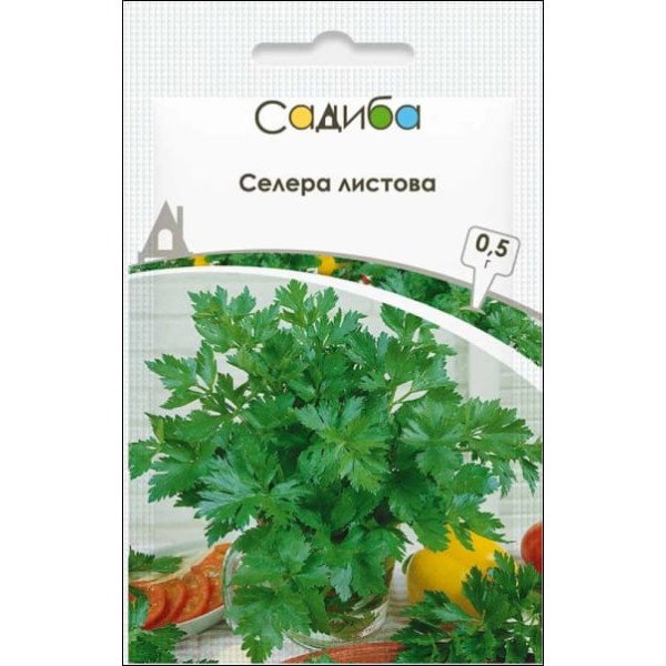 Семена сельдерея листового /0,5 г/ *Садыба*