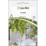 Стевія /15 насінин/ *Садиба*
