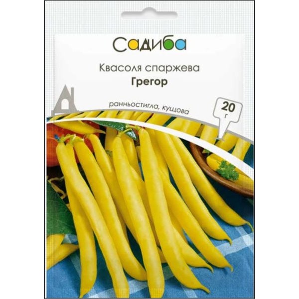 Насіння квасолі Грегор /20 г/ *Садиба*