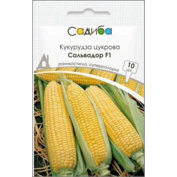Кукуруза сахарная Сальвадор F1 /10 семян/ *Садыба*