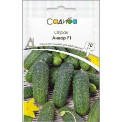 Огурец Анвар F1 /10 семян/ *Садыба*