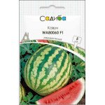 Арбуз WA80060 F1 /5 семян/ *Садыба*