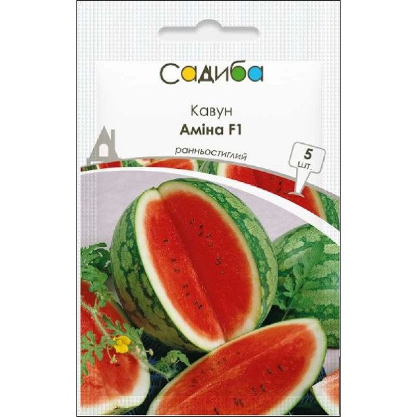 Семена арбуза Амина F1 /5 семян/ *Садыба*