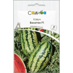 Арбуз Балатон F1 /5 семян/ *Садыба*