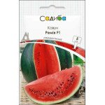 Кавун Ремія F1 /5 насінин/ *Садиба*