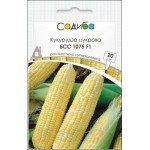 Кукуруза сахарная БСС 1075 F1 /20 семян/ *Садыба*