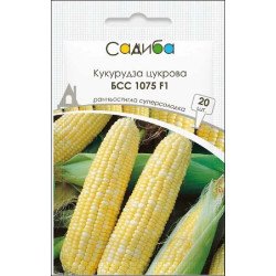 Кукурудза цукрова БСС 1075 F1 /20 насінин/ *Садиба*