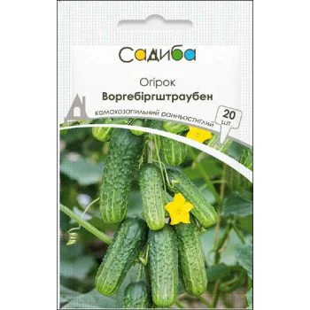 Огірок Воргебіргштраубен /20 насінин/ *Садиба*