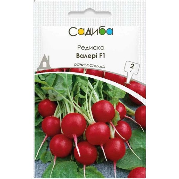 Семена редиса Валери F1 /2 г/ *Садыба*