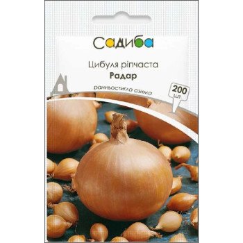 Лук Радар /200 семян/ *Садыба*