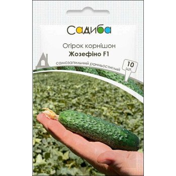 Огірок Жозефіно F1 /10 насінин/ *Садиба*