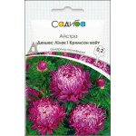 Айстра Дюшес лілак і кримсон вайт /0,2 г/ *Садиба*