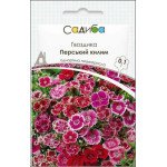 Гвоздика Персидский ковер /0,1 г/ *Садыба*