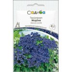 Гелиотроп Марине темно-синий /0,1 г/ *Садыба*