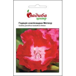 Годеція Метеор темно-червона /0,2 г/ *Садиба*