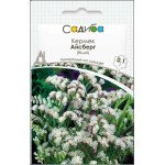 Кермек Айсберг белый /0,1 г/ *Садыба*