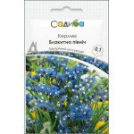 Кермек Голубой Север /0,1 г/ *Садыба*