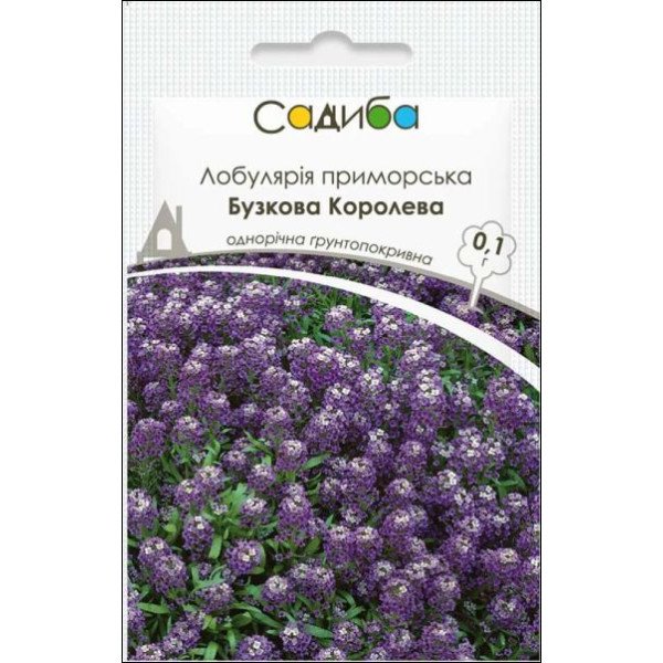 Насіння лобулярії приморської Бузкова Королева /0,1 г/ *Садиба*