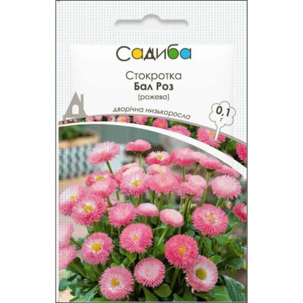Насіння стокротки Бал Роз рожева /0,1 г/ *Садиба*