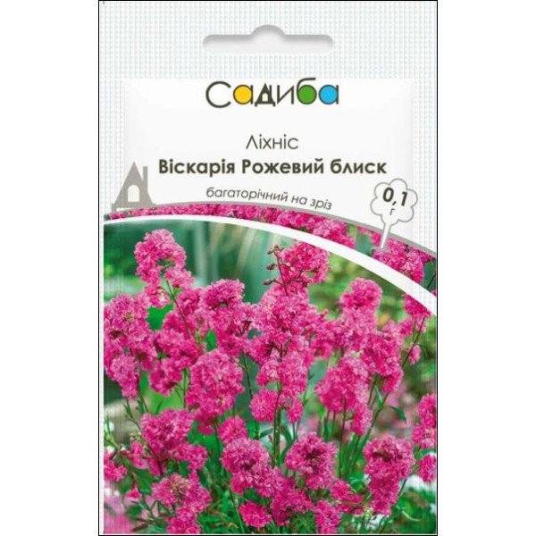 Насіння ліхніса Віскарія Рожевий блиск /0,1 г/ *Садиба*