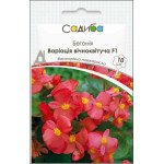 Бегония Вариация вечноцветущая F1 /10 семян (драже)/ *Садыба*