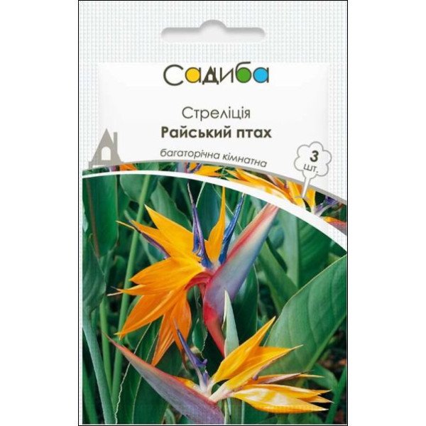 Семена стрелиции Райская птичка /3 семечки/ *Садыба*