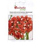 Кермек Фортеця абрикосова /0,1 г/ *Садиба*