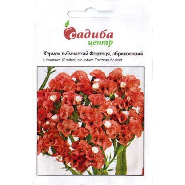 Семена кермека Крепость абрикосовый /0,1 г/ *Садыба*