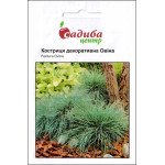 Костриця декоративна Овіна /0,5 г/ *Садиба*