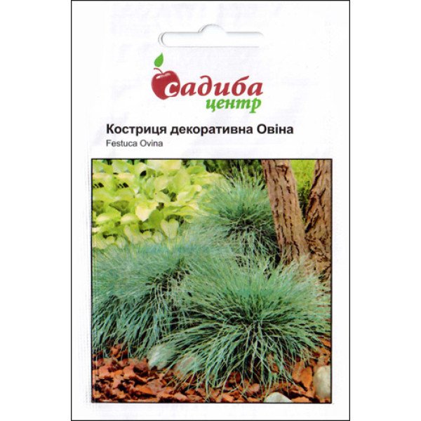Насіння костриці декоративної Овіна /0,5 г/ *Садиба*