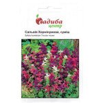 Сальвія Хормінумова /0,2 г/ *Садиба*