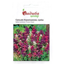 Сальвия Хорминумова /0,2 г/ *Садыба*
