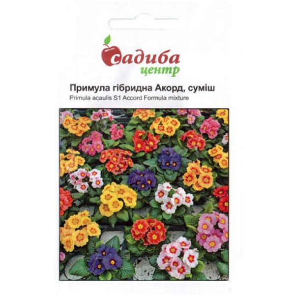 Насіння примули акауліс Акорд S1 /0,01 г/ *Садиба*