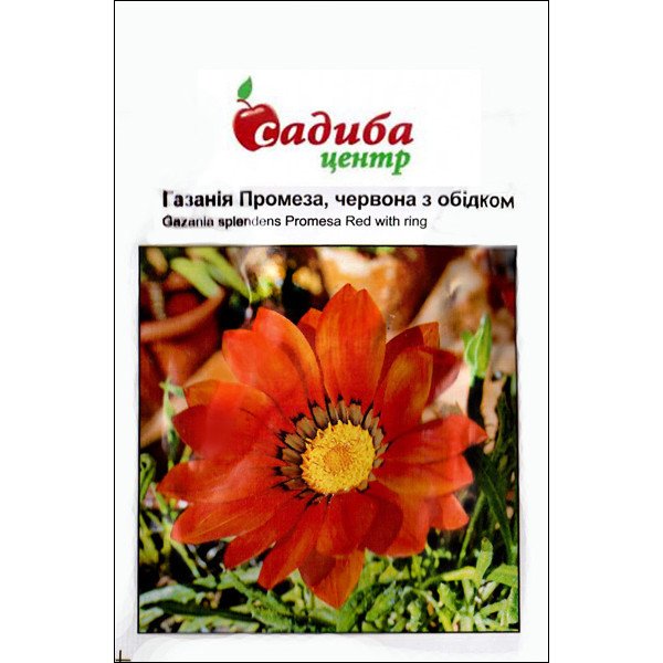 Семена газании Промеза красная c ободком /10 семян/ *Садыба*