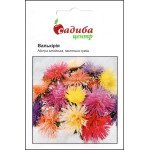 Айстра Валькірія пастель суміш /0,2 г/ *Садиба*