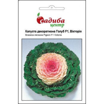 Капуста декоративна Голуб F1 Вікторія /10 насіння/ *Садиба*