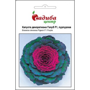Капуста декоративна Голуб F1 пурпурний /10 насіння/ *Садиба*